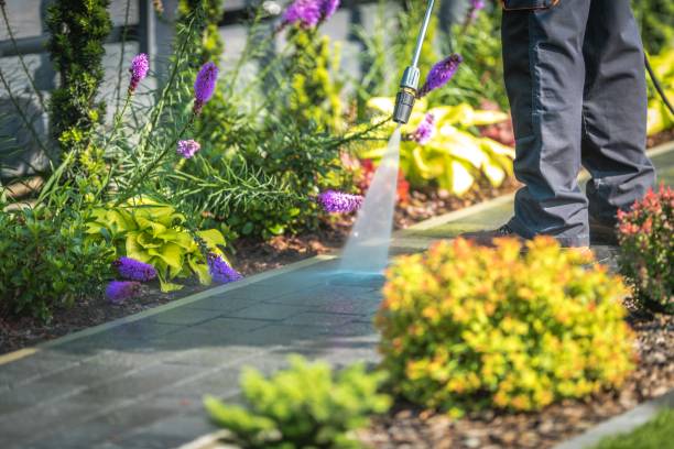 Best Sidewalk and Walkway Cleaning  in Bradfordville, FL