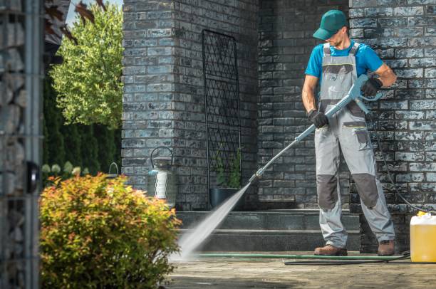 Animal Enclosure Cleaning in Bradfordville, FL